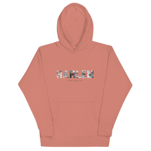 Load image into Gallery viewer, HARLEM Newspaper Graphic Hoodie